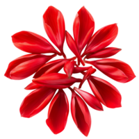 elegante aislado rojo flor pétalos cortar salidas alto calidad imágenes png