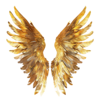 Ethereal Golden Angel Wings Images for Your Creative Projects png