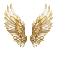 Stylish Isolated Golden Angel Wings Cut Outs High Quality Images png