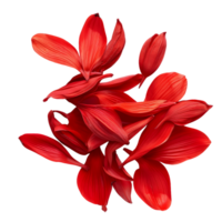 vibrerande elegans isolerat röd blomma kronblad skära outs png