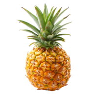 High Resolution Isolated Pineapple Cut Outs for Any Design Need png