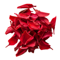 röd blomma kronblad mängd grundläggande stock resurs png