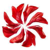 rosso fiore petali su trasparente sfondo tagliare su azione foto collezione png