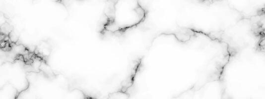 White marble texture background vector