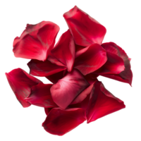 Red Flower Petals Detail Stock Imagery Ready for Your Designs png