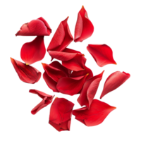 Seamless Red Flower Petals Cut Outs Stock Assortment png