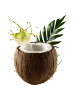 Fresh coconut with leaves and juice splash isolated on alpha layer, premium png