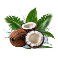 Fresh coconut with leaves and juice splash isolated on alpha layer, premium png