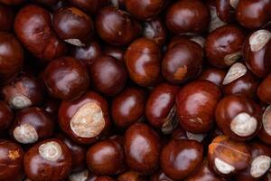 texture background a lot of chestnuts pattern photo