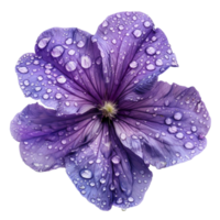 vibrerande violett en närbild av naturens skönhet png