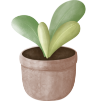 planten in potten, kamerplanten, schattig potten en planten. png
