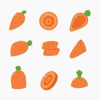 Zanahoria mano dibujado ilustración vector