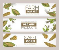 Collection of horizontal banner templates with realistic hand drawn cobs of sweet corn or corncobs on white background. illustration for farm market advertisement, organic products promotion. vector
