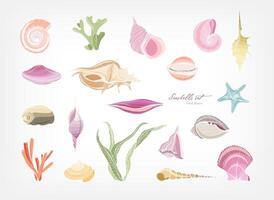 Collection of gorgeous hand drawn seashells, corals and seaweed isolated on white background. Bundle of shells of marine molluscs. Flora and fauna of sea and ocean. Colorful illustration. vector