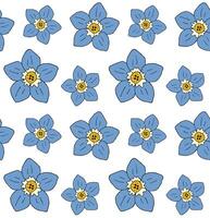 Seamless pattern of forget me not flower vector