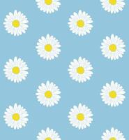 Seamless pattern of daisy flowers vector