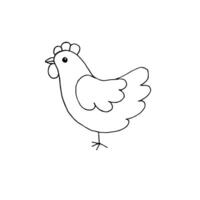 Hand drawn doodle sketch chicken vector