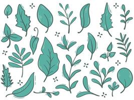 Hand drawn foliage, twigs and herbs set vector