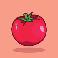 ilustración tomate. tomate. rojo tomate vegetales ilustración y icono para digital y impresión gráfico diseño vector