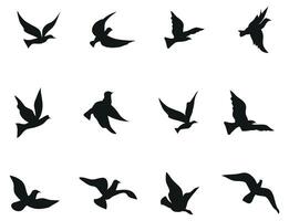 bird outline set silhouette isolated on white background vector