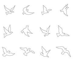 bird outline set silhouette isolated on white background vector