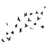 flying birds silhouette set clipart isolated on white background vector