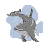 Dolphin swimming in water. Marine dweller vector