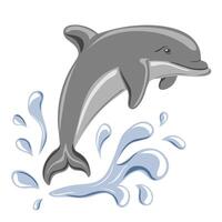 Dolphin jumping in water. Marine dweller. vector
