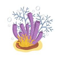 Corals and seaweed. Botanical Illustration vector