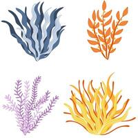 Set of colorful algae or seaweed vector