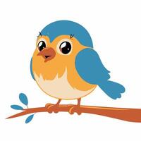 robin bird cute little bird character white background, illustration vector
