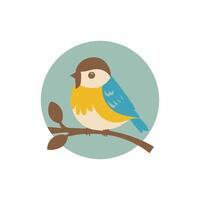 robin bird cute little bird character white background, illustration vector