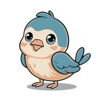 robin bird cute little bird character white background, illustration vector