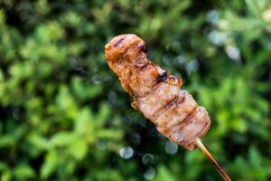 Hand holding grilled pork in bamboo stick photo