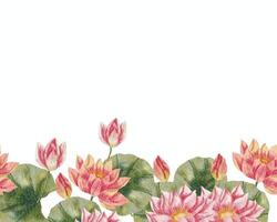 Pink Water Lily Watercolor Flower Background vector