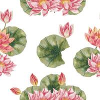 Pink Water Lily Watercolor Flower Seamless Pattern vector