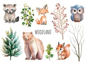 Set of wild watercolor forest animals. Woodland animals. Trees and plants. Bear, fox, squirrel, owl. vector