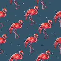 Summer seamless pattern of flamingo. Watercolor flamingo background vector