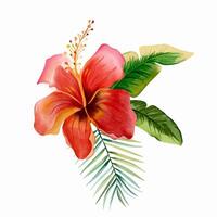 Watercolor tropical flower. Red. bouquet with palm leaves. Exotic foliage, wild floral. vector