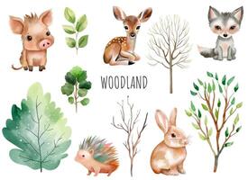 Woodland animals. Set of wild watercolor forest animals. Green trees and plants. Deer, boar, hedgehog, rabbit. vector