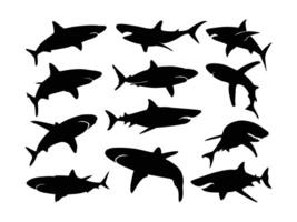colección de negro tiburón silueta. mar animal tiburón ilustración en un blanco antecedentes. vector