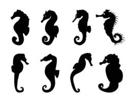 Seahorse black silhouette collection. Sea Horse icon illustration. vector