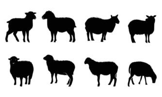 Set of Sheep silhouette illustrations. Collection of black sheep isolated on a white background. sheep silhouette vector