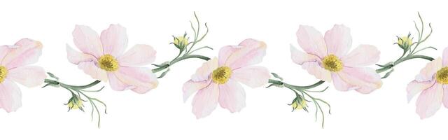 Cosmos flowers and leaves. Isolated hand drawn watercolor seamless border of pink wildflowers. Summer floral banner for wedding invitations, cards, packaging of goods vector
