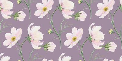 Print of pink and white Cosmea flowers. Cosmos bipinnatus. Hand drawn watercolor seamless pattern of Mexican aster. Summer floral background for wedding design, textiles, wrapping paper, scrapbooking vector