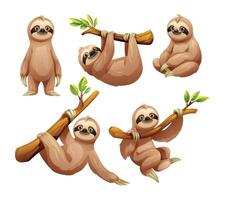 Set of sloth in different poses. Cartoon illustration vector