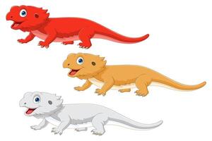types of cartoon bearded dragon on white background vector