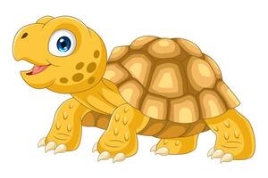 Cartoon cute sulcata turtle on white background vector