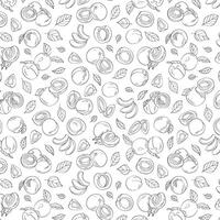 Seamless endless pattern of apricots. Illustration in hand drawn style. Can be used to create packaging, covers, backgrounds, cards, textiles, clothing, souvenirs and much more. vector