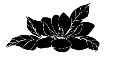 Hand drawn magnolia flower, black silhouette illustration. isolated floral element. flower bud of different shapes. Illustration for prints, templates, greeting cards, invitations. vector